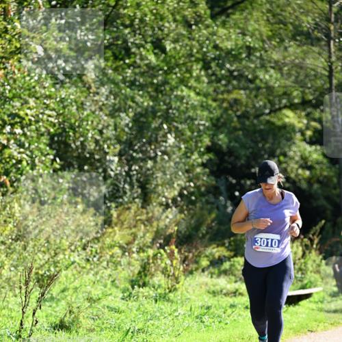 27.09.2026 - 35. Volkslauf durch das schöne Alstertal Dr. Thomas Lammeyer http://msf.ph/oto/10575302 27.09.2026 11:37:12 Laufen 3010 meine-sportfotos.de