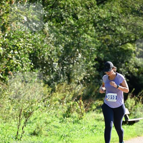 27.09.2026 - 35. Volkslauf durch das schöne Alstertal Dr. Thomas Lammeyer http://msf.ph/oto/10575304 27.09.2026 11:37:12 Laufen 3010 meine-sportfotos.de