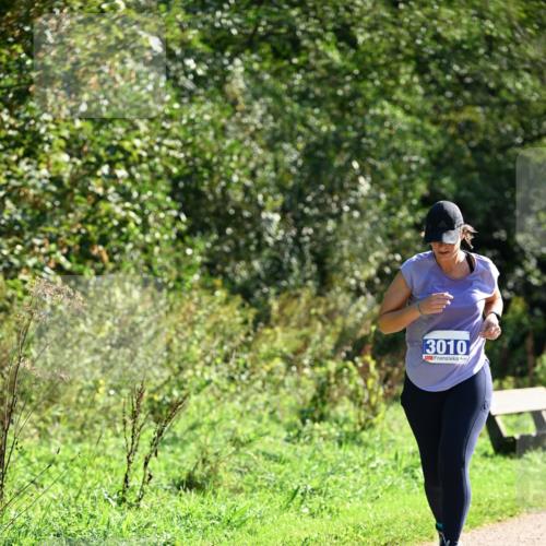 27.09.2026 - 35. Volkslauf durch das schöne Alstertal Dr. Thomas Lammeyer http://msf.ph/oto/10575308 27.09.2026 11:37:13 Laufen 3010 meine-sportfotos.de