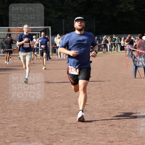 27.09.2026 - 35. Volkslauf durch das schöne Alstertal Strokosch-Dieckow http://msf.ph/oto/10575311 27.09.2026 12:35:10 Ziel 1654, 2094, 2464 meine-sportfotos.de