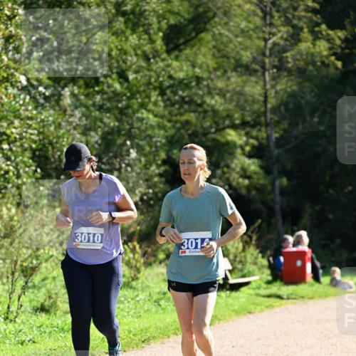 27.09.2026 - 35. Volkslauf durch das schöne Alstertal Dr. Thomas Lammeyer http://msf.ph/oto/10575313 27.09.2026 11:37:14 Laufen 3010, 301 meine-sportfotos.de