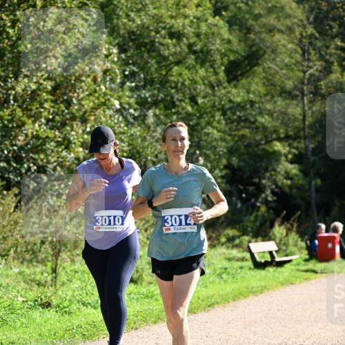 27.09.2026 - 35. Volkslauf durch das schöne Alstertal Dr. Thomas Lammeyer http://msf.ph/oto/10575316 27.09.2026 11:37:15 Laufen 3010, 3014 meine-sportfotos.de