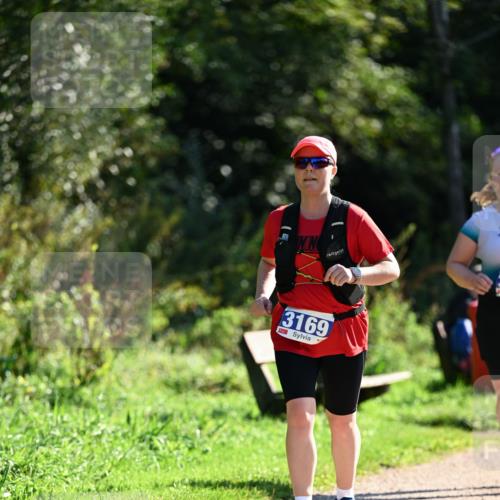 27.09.2026 - 35. Volkslauf durch das schöne Alstertal Dr. Thomas Lammeyer http://msf.ph/oto/10575327 27.09.2026 11:37:30 Laufen 3169 meine-sportfotos.de