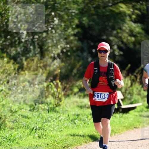27.09.2026 - 35. Volkslauf durch das schöne Alstertal Dr. Thomas Lammeyer http://msf.ph/oto/10575332 27.09.2026 11:37:31 Laufen 3169 meine-sportfotos.de