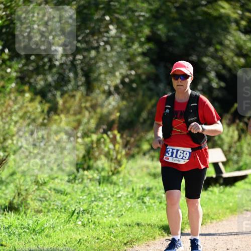 27.09.2026 - 35. Volkslauf durch das schöne Alstertal Dr. Thomas Lammeyer http://msf.ph/oto/10575333 27.09.2026 11:37:31 Laufen 3169 meine-sportfotos.de