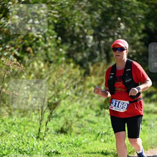 27.09.2026 - 35. Volkslauf durch das schöne Alstertal Dr. Thomas Lammeyer http://msf.ph/oto/10575343 27.09.2026 11:37:32 Laufen 3169 meine-sportfotos.de