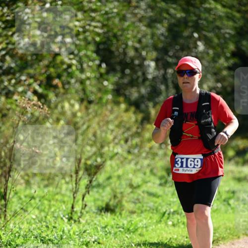27.09.2026 - 35. Volkslauf durch das schöne Alstertal Dr. Thomas Lammeyer http://msf.ph/oto/10575344 27.09.2026 11:37:32 Laufen 3169 meine-sportfotos.de