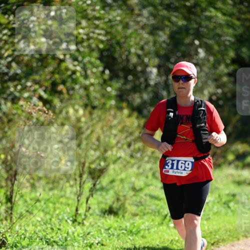 27.09.2026 - 35. Volkslauf durch das schöne Alstertal Dr. Thomas Lammeyer http://msf.ph/oto/10575347 27.09.2026 11:37:32 Laufen 3169 meine-sportfotos.de