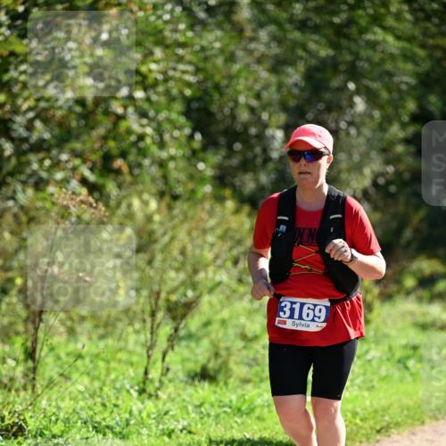 27.09.2026 - 35. Volkslauf durch das schöne Alstertal Dr. Thomas Lammeyer http://msf.ph/oto/10575348 27.09.2026 11:37:32 Laufen 3169 meine-sportfotos.de