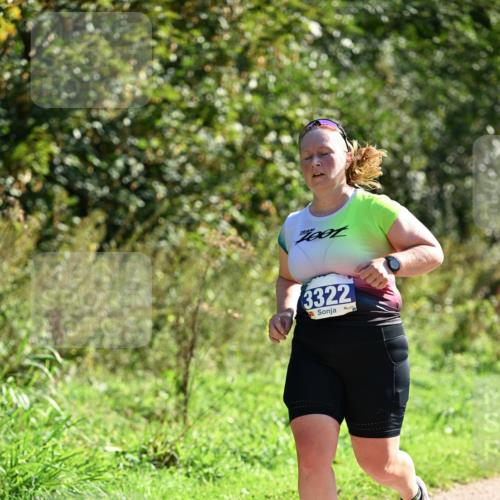 27.09.2026 - 35. Volkslauf durch das schöne Alstertal Dr. Thomas Lammeyer http://msf.ph/oto/10575364 27.09.2026 11:37:34 Laufen 3322 meine-sportfotos.de