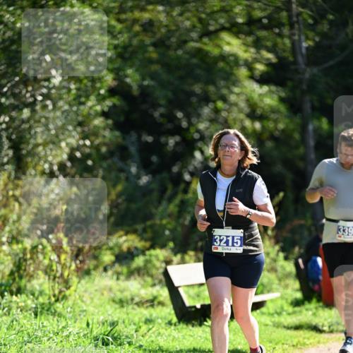 27.09.2026 - 35. Volkslauf durch das schöne Alstertal Dr. Thomas Lammeyer http://msf.ph/oto/10575400 27.09.2026 11:37:47 Laufen 3215, 339 meine-sportfotos.de
