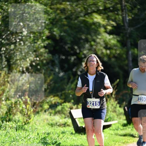 27.09.2026 - 35. Volkslauf durch das schöne Alstertal Dr. Thomas Lammeyer http://msf.ph/oto/10575401 27.09.2026 11:37:47 Laufen 3215, 3390 meine-sportfotos.de
