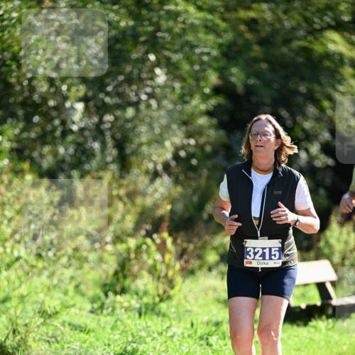 27.09.2026 - 35. Volkslauf durch das schöne Alstertal Dr. Thomas Lammeyer http://msf.ph/oto/10575413 27.09.2026 11:37:48 Laufen 3215 meine-sportfotos.de