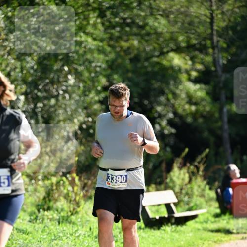 27.09.2026 - 35. Volkslauf durch das schöne Alstertal Dr. Thomas Lammeyer http://msf.ph/oto/10575420 27.09.2026 11:37:50 Laufen 5, 3390 meine-sportfotos.de