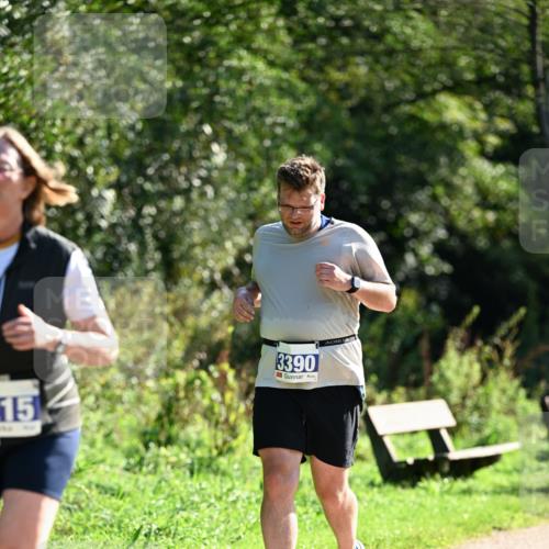 27.09.2026 - 35. Volkslauf durch das schöne Alstertal Dr. Thomas Lammeyer http://msf.ph/oto/10575421 27.09.2026 11:37:51 Laufen 15, 3390 meine-sportfotos.de