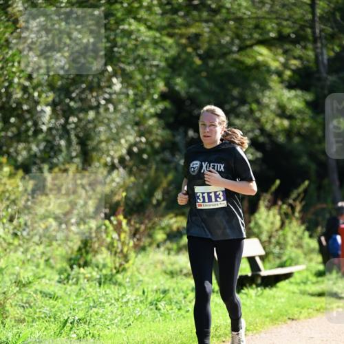 27.09.2026 - 35. Volkslauf durch das schöne Alstertal Dr. Thomas Lammeyer http://msf.ph/oto/10575435 27.09.2026 11:37:55 Laufen 3113 meine-sportfotos.de