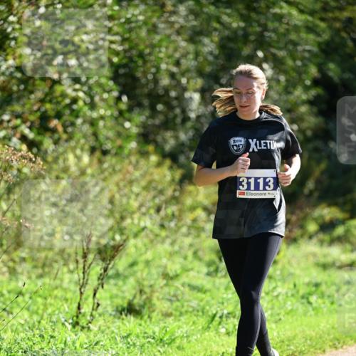 27.09.2026 - 35. Volkslauf durch das schöne Alstertal Dr. Thomas Lammeyer http://msf.ph/oto/10575446 27.09.2026 11:37:56 Laufen 3113 meine-sportfotos.de