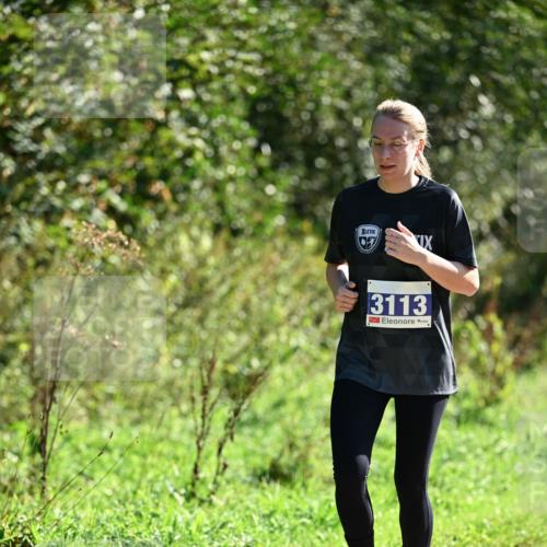 27.09.2026 - 35. Volkslauf durch das schöne Alstertal Dr. Thomas Lammeyer http://msf.ph/oto/10575448 27.09.2026 11:37:56 Laufen 3113 meine-sportfotos.de