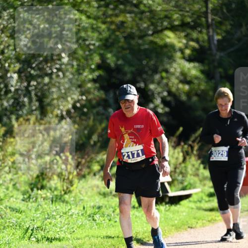 27.09.2026 - 35. Volkslauf durch das schöne Alstertal Dr. Thomas Lammeyer http://msf.ph/oto/10575475 27.09.2026 11:38:15 Laufen 2171, 3029 meine-sportfotos.de