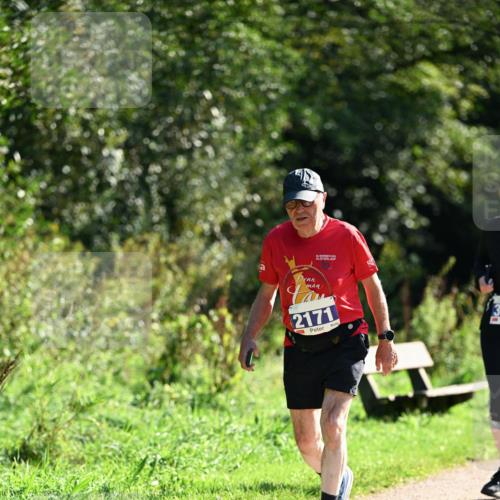 27.09.2026 - 35. Volkslauf durch das schöne Alstertal Dr. Thomas Lammeyer http://msf.ph/oto/10575478 27.09.2026 11:38:16 Laufen 2171 meine-sportfotos.de