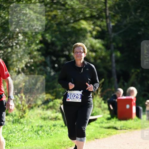 27.09.2026 - 35. Volkslauf durch das schöne Alstertal Dr. Thomas Lammeyer http://msf.ph/oto/10575487 27.09.2026 11:38:17 Laufen 3029 meine-sportfotos.de