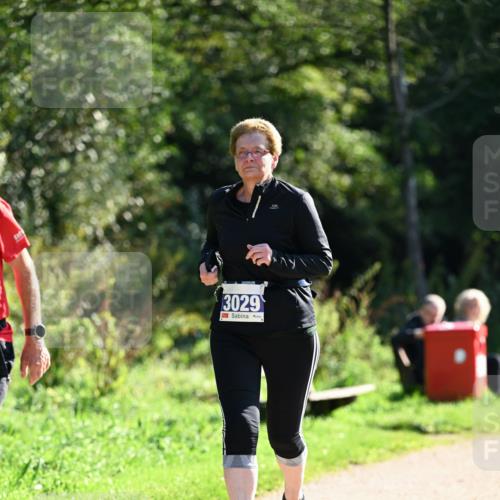 27.09.2026 - 35. Volkslauf durch das schöne Alstertal Dr. Thomas Lammeyer http://msf.ph/oto/10575490 27.09.2026 11:38:17 Laufen 3029 meine-sportfotos.de