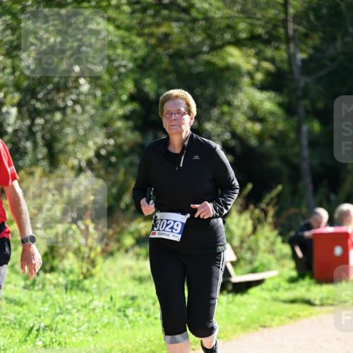 27.09.2026 - 35. Volkslauf durch das schöne Alstertal Dr. Thomas Lammeyer http://msf.ph/oto/10575492 27.09.2026 11:38:17 Laufen 3029 meine-sportfotos.de