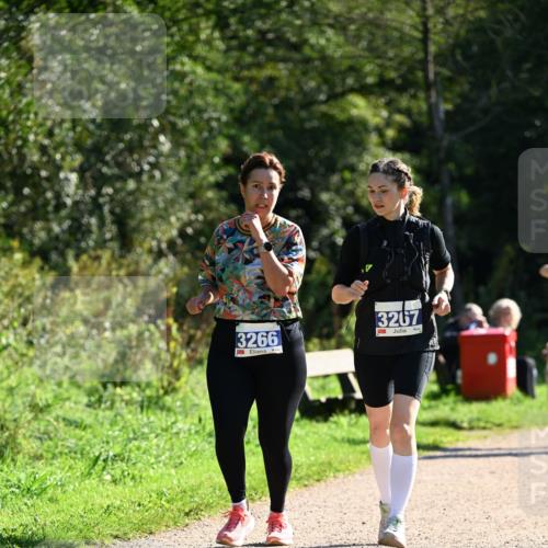 27.09.2026 - 35. Volkslauf durch das schöne Alstertal Dr. Thomas Lammeyer http://msf.ph/oto/10575558 27.09.2026 11:38:40 Laufen 3266, 3267 meine-sportfotos.de