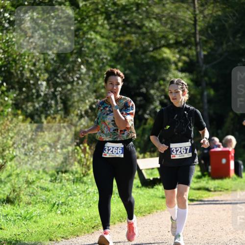 27.09.2026 - 35. Volkslauf durch das schöne Alstertal Dr. Thomas Lammeyer http://msf.ph/oto/10575559 27.09.2026 11:38:40 Laufen 3266, 3267 meine-sportfotos.de