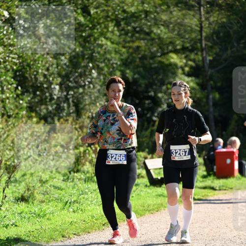 27.09.2026 - 35. Volkslauf durch das schöne Alstertal Dr. Thomas Lammeyer http://msf.ph/oto/10575561 27.09.2026 11:38:40 Laufen 3266, 3267 meine-sportfotos.de