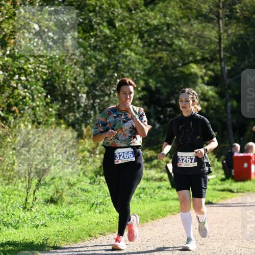 27.09.2026 - 35. Volkslauf durch das schöne Alstertal Dr. Thomas Lammeyer http://msf.ph/oto/10575563 27.09.2026 11:38:40 Laufen 3266, 3267 meine-sportfotos.de