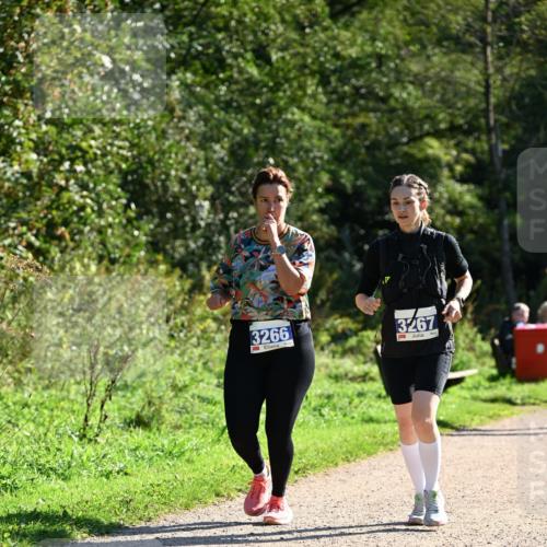 27.09.2026 - 35. Volkslauf durch das schöne Alstertal Dr. Thomas Lammeyer http://msf.ph/oto/10575564 27.09.2026 11:38:41 Laufen 3266, 3267 meine-sportfotos.de