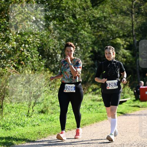 27.09.2026 - 35. Volkslauf durch das schöne Alstertal Dr. Thomas Lammeyer http://msf.ph/oto/10575566 27.09.2026 11:38:41 Laufen 3266, 3267 meine-sportfotos.de