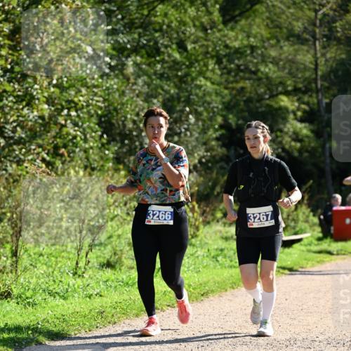 27.09.2026 - 35. Volkslauf durch das schöne Alstertal Dr. Thomas Lammeyer http://msf.ph/oto/10575567 27.09.2026 11:38:41 Laufen 3266, 3267 meine-sportfotos.de