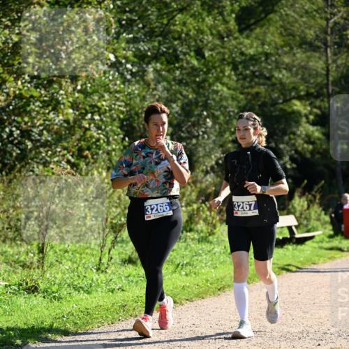 27.09.2026 - 35. Volkslauf durch das schöne Alstertal Dr. Thomas Lammeyer http://msf.ph/oto/10575570 27.09.2026 11:38:41 Laufen 3266, 3267 meine-sportfotos.de