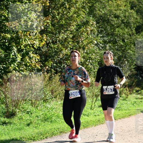 27.09.2026 - 35. Volkslauf durch das schöne Alstertal Dr. Thomas Lammeyer http://msf.ph/oto/10575580 27.09.2026 11:38:42 Laufen 3266, 3267 meine-sportfotos.de