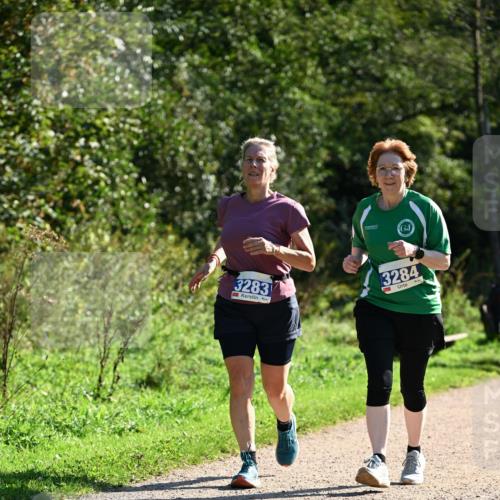 27.09.2026 - 35. Volkslauf durch das schöne Alstertal Dr. Thomas Lammeyer http://msf.ph/oto/10575600 27.09.2026 11:38:45 Laufen 3283, 3284 meine-sportfotos.de