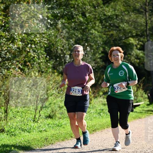 27.09.2026 - 35. Volkslauf durch das schöne Alstertal Dr. Thomas Lammeyer http://msf.ph/oto/10575601 27.09.2026 11:38:45 Laufen 3283, 328 meine-sportfotos.de