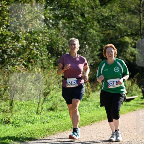 27.09.2026 - 35. Volkslauf durch das schöne Alstertal Dr. Thomas Lammeyer http://msf.ph/oto/10575602 27.09.2026 11:38:46 Laufen 3283, 328 meine-sportfotos.de