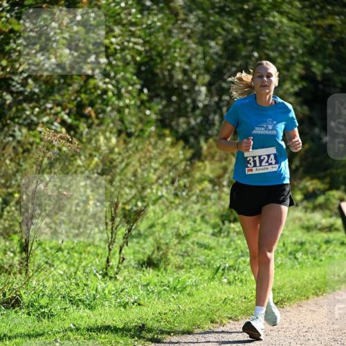 27.09.2026 - 35. Volkslauf durch das schöne Alstertal Dr. Thomas Lammeyer http://msf.ph/oto/10575634 27.09.2026 11:38:50 Laufen 3124 meine-sportfotos.de