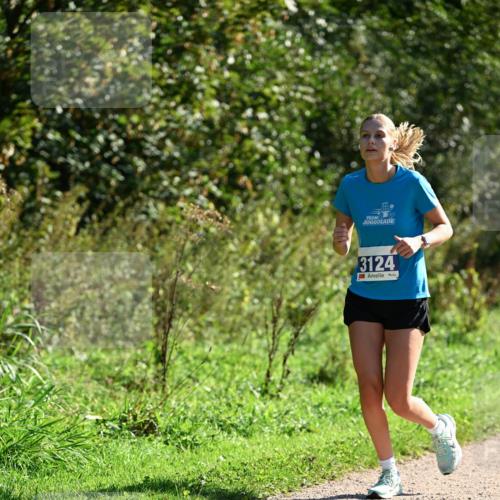 27.09.2026 - 35. Volkslauf durch das schöne Alstertal Dr. Thomas Lammeyer http://msf.ph/oto/10575641 27.09.2026 11:38:51 Laufen 3124 meine-sportfotos.de