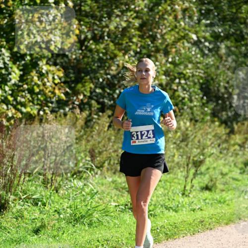 27.09.2026 - 35. Volkslauf durch das schöne Alstertal Dr. Thomas Lammeyer http://msf.ph/oto/10575651 27.09.2026 11:38:52 Laufen 3124 meine-sportfotos.de