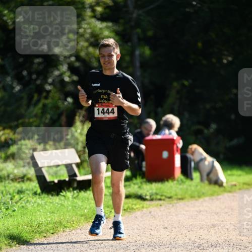 27.09.2026 - 35. Volkslauf durch das schöne Alstertal Dr. Thomas Lammeyer http://msf.ph/oto/10575654 27.09.2026 11:38:55 Laufen 1444 meine-sportfotos.de