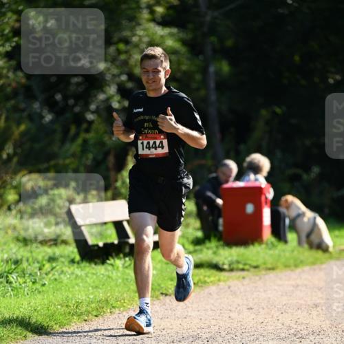 27.09.2026 - 35. Volkslauf durch das schöne Alstertal Dr. Thomas Lammeyer http://msf.ph/oto/10575655 27.09.2026 11:38:55 Laufen 1444 meine-sportfotos.de