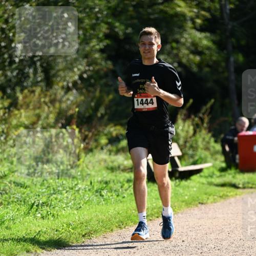 27.09.2026 - 35. Volkslauf durch das schöne Alstertal Dr. Thomas Lammeyer http://msf.ph/oto/10575662 27.09.2026 11:38:56 Laufen 1444 meine-sportfotos.de