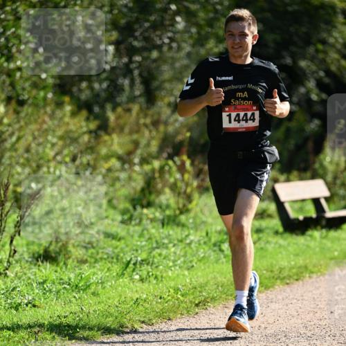 27.09.2026 - 35. Volkslauf durch das schöne Alstertal Dr. Thomas Lammeyer http://msf.ph/oto/10575666 27.09.2026 11:38:56 Laufen 1444 meine-sportfotos.de