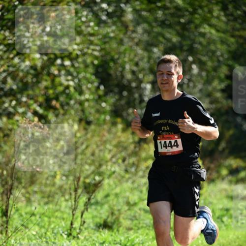 27.09.2026 - 35. Volkslauf durch das schöne Alstertal Dr. Thomas Lammeyer http://msf.ph/oto/10575671 27.09.2026 11:38:57 Laufen 1444 meine-sportfotos.de