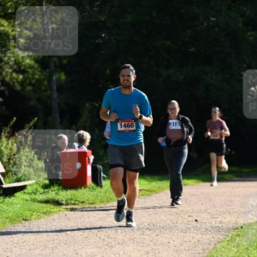 27.09.2026 - 35. Volkslauf durch das schöne Alstertal Dr. Thomas Lammeyer http://msf.ph/oto/10575684 27.09.2026 11:39:00 Laufen 1460, 319 meine-sportfotos.de