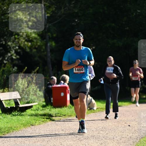 27.09.2026 - 35. Volkslauf durch das schöne Alstertal Dr. Thomas Lammeyer http://msf.ph/oto/10575689 27.09.2026 11:39:01 Laufen 1460, 3197 meine-sportfotos.de