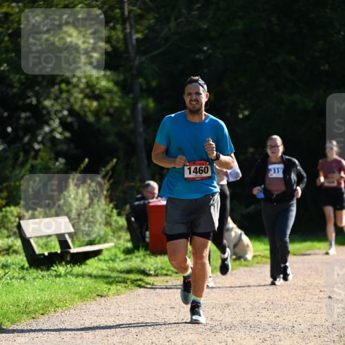 27.09.2026 - 35. Volkslauf durch das schöne Alstertal Dr. Thomas Lammeyer http://msf.ph/oto/10575692 27.09.2026 11:39:01 Laufen 1460, 19 meine-sportfotos.de